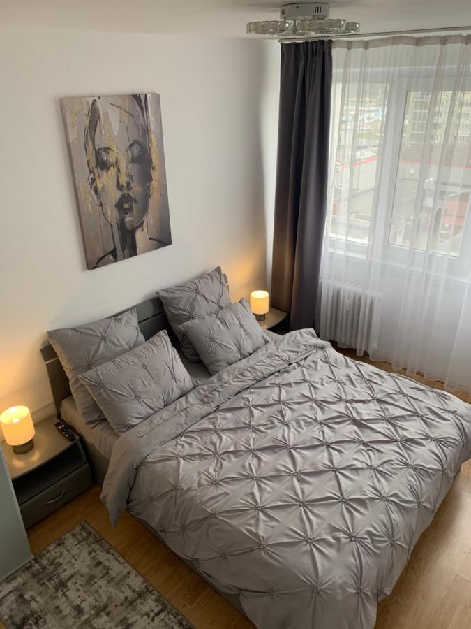 Victoriei Boulevard Private Apartment Braşov Eksteriør bilde