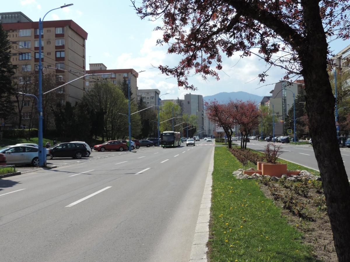 Victoriei Boulevard Private Apartment Braşov Eksteriør bilde