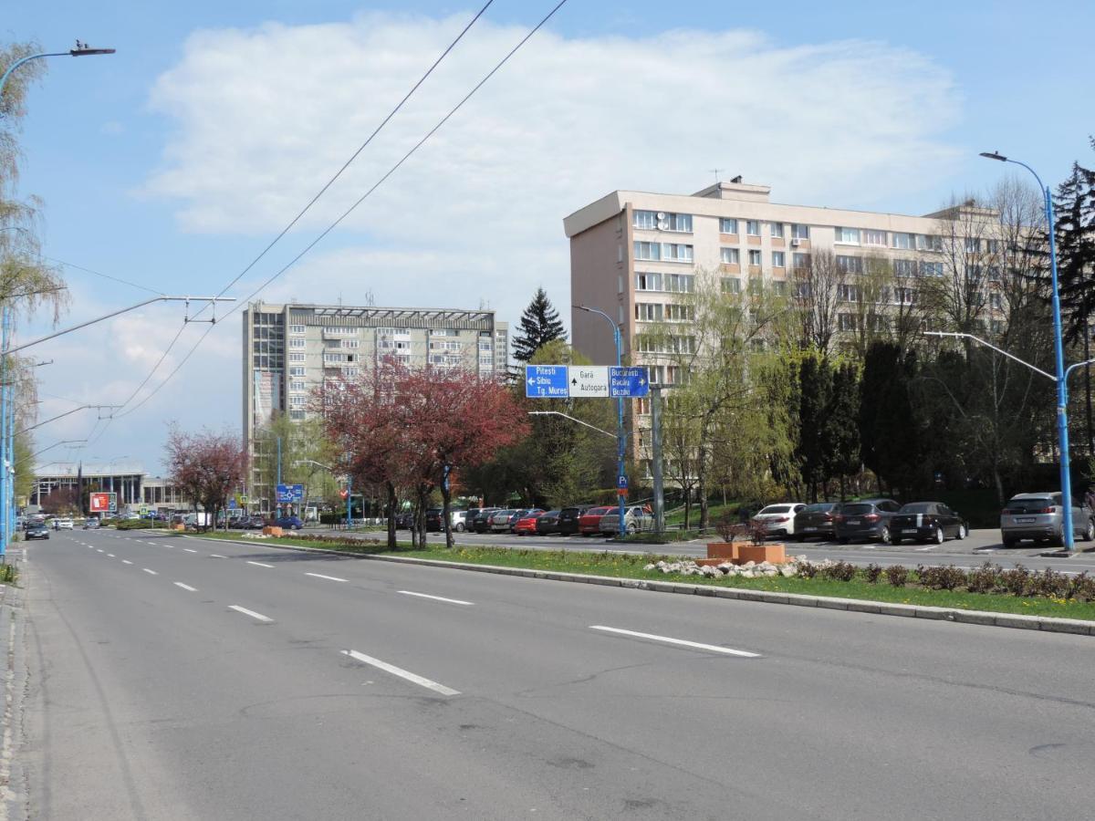 Victoriei Boulevard Private Apartment Braşov Eksteriør bilde