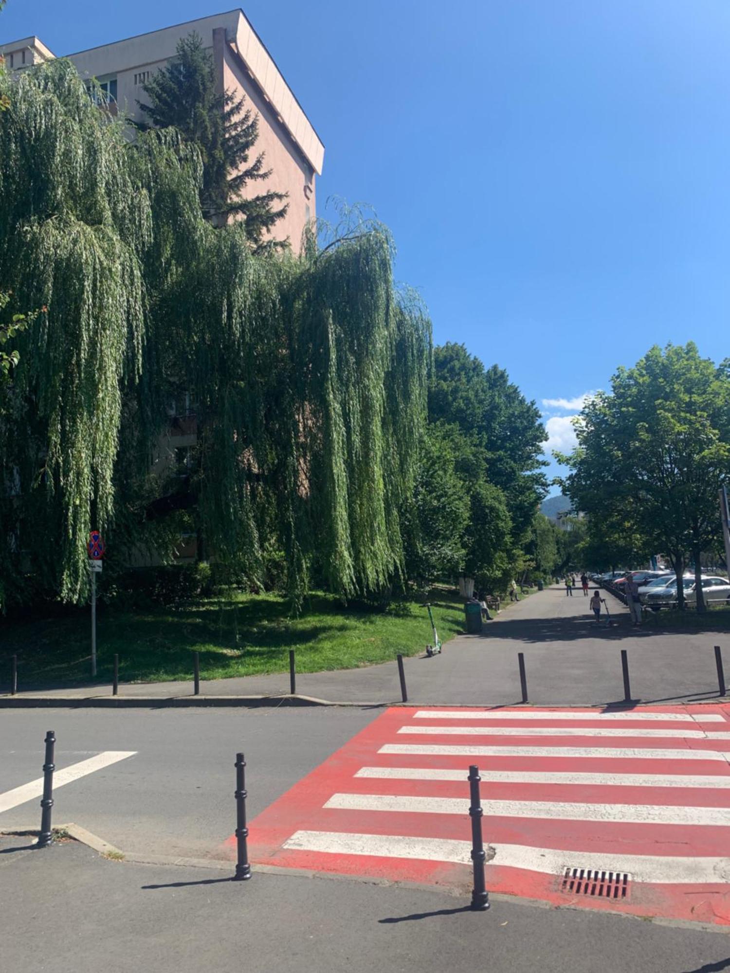 Victoriei Boulevard Private Apartment Braşov Eksteriør bilde