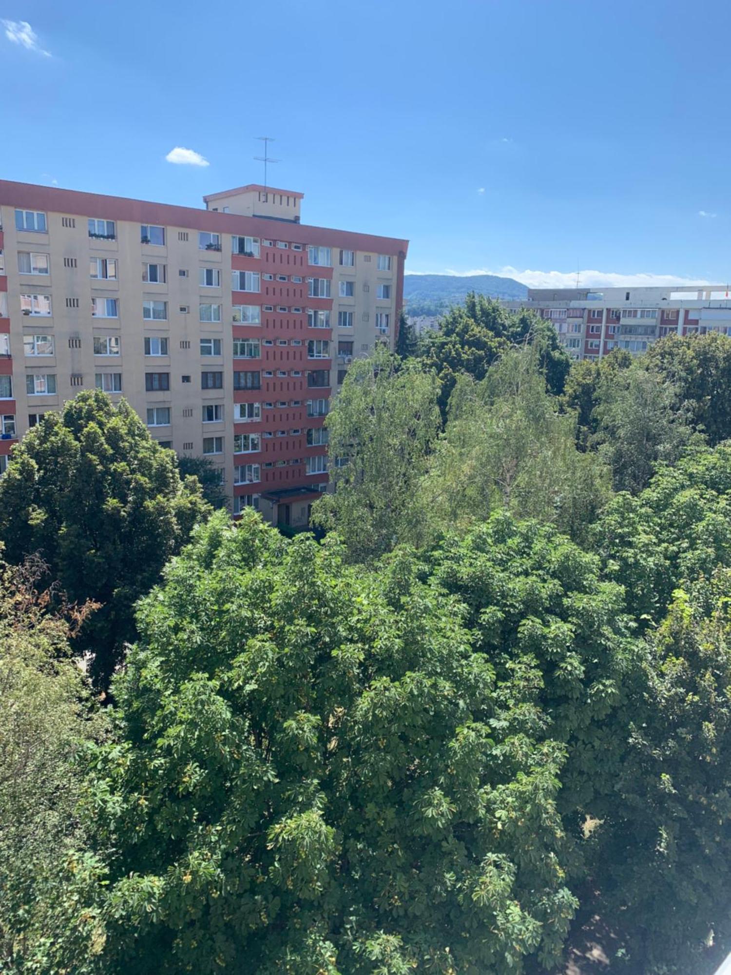 Victoriei Boulevard Private Apartment Braşov Eksteriør bilde